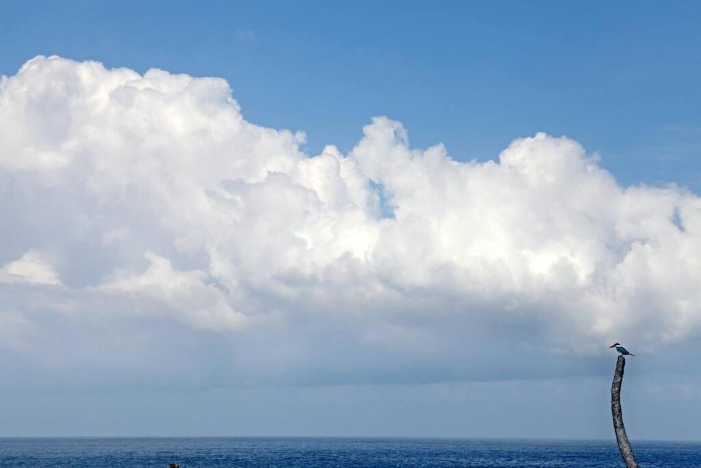 Villa Lumba Lumba - Oceanfront & Spectacular View! Lembongan Buitenkant foto